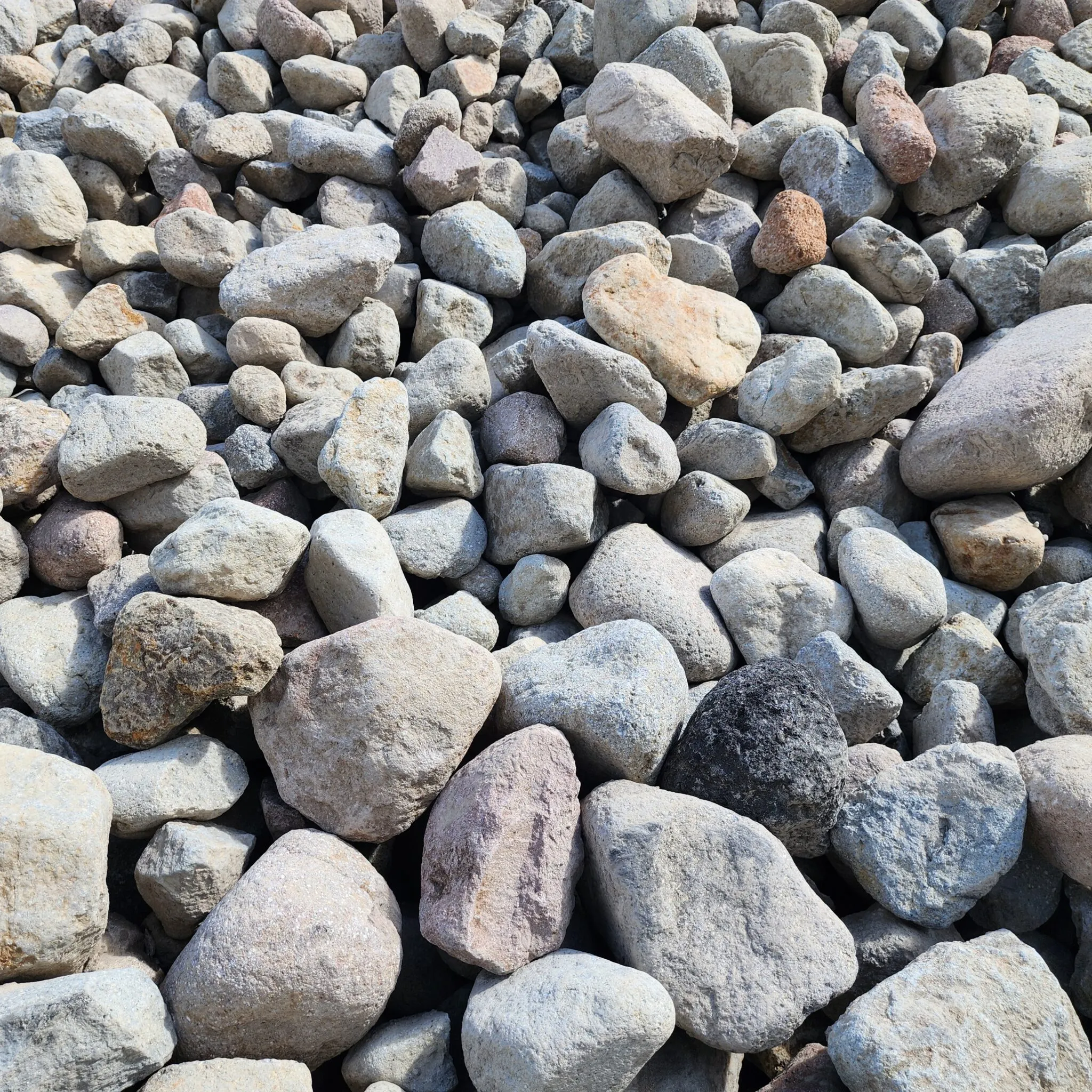 Armored Rock